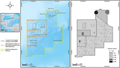 Echinoderms of the Seaflower Biosphere Reserve: State of Knowledge and New Findings